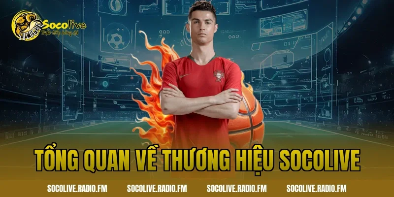 Tổng quan về thương hiệu Socolive